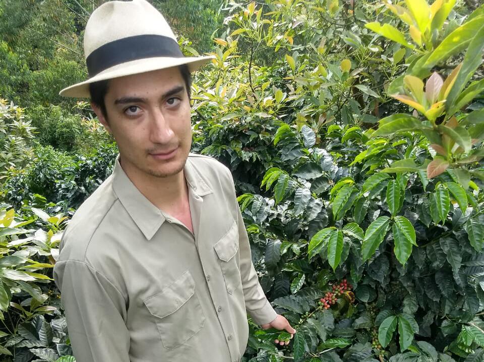 How climate change affects Colombia’s coffee production