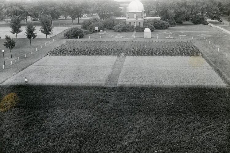 An older, black-and-white aerial photo of the Morrow Plots