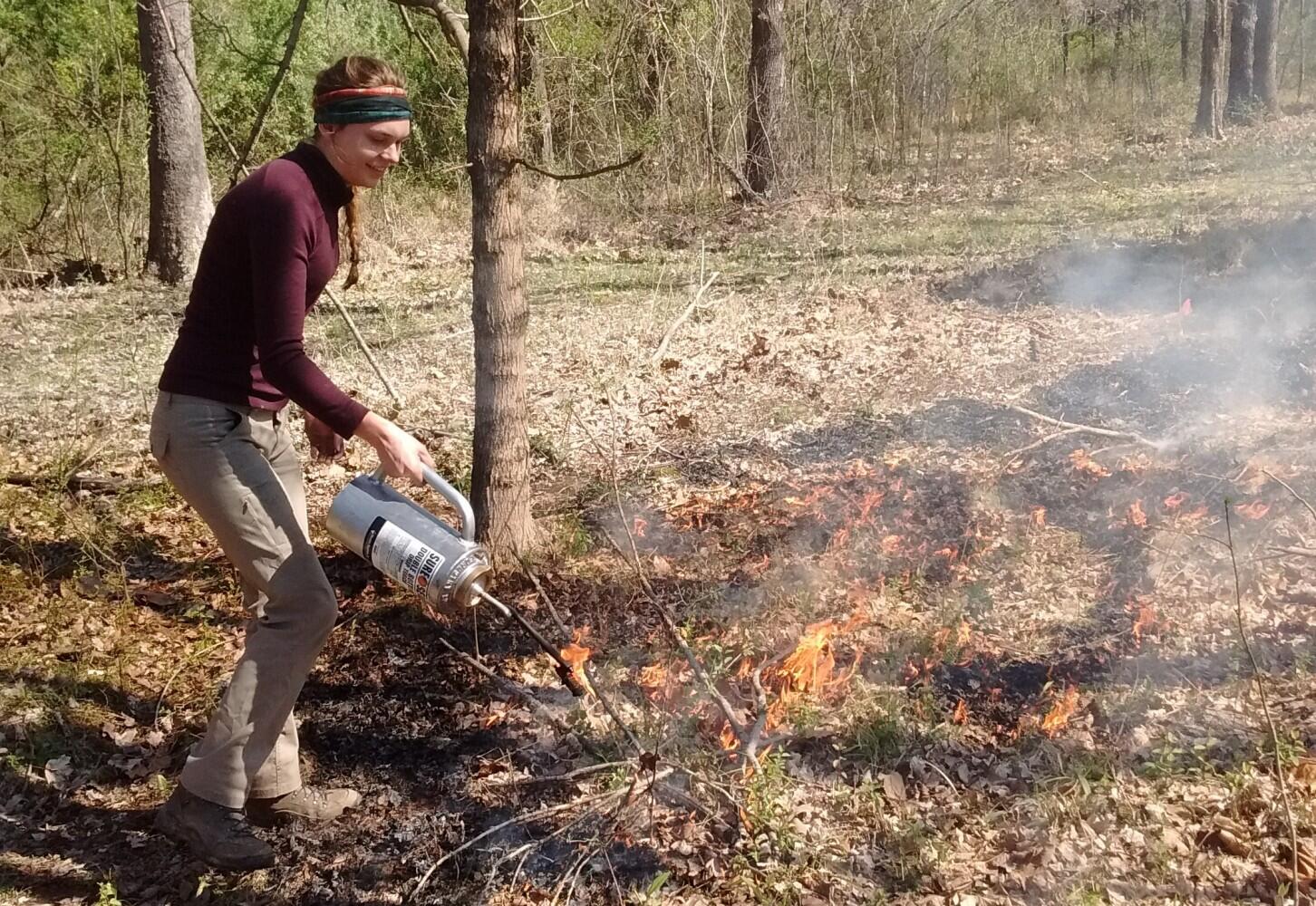 Frequent fire too hot to handle for invasive plants