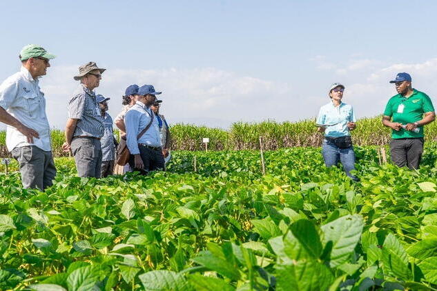 A small group of people stand in a soybean field listening to one person speaking
