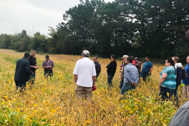 A group of people stands in a field with yellowing plants, listening to a person speaking; trees and cloudy sky are visible in the background.