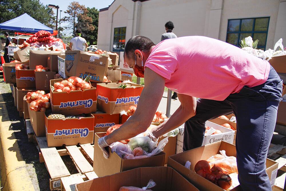 Low-income households get nutritious food from food banks, study shows