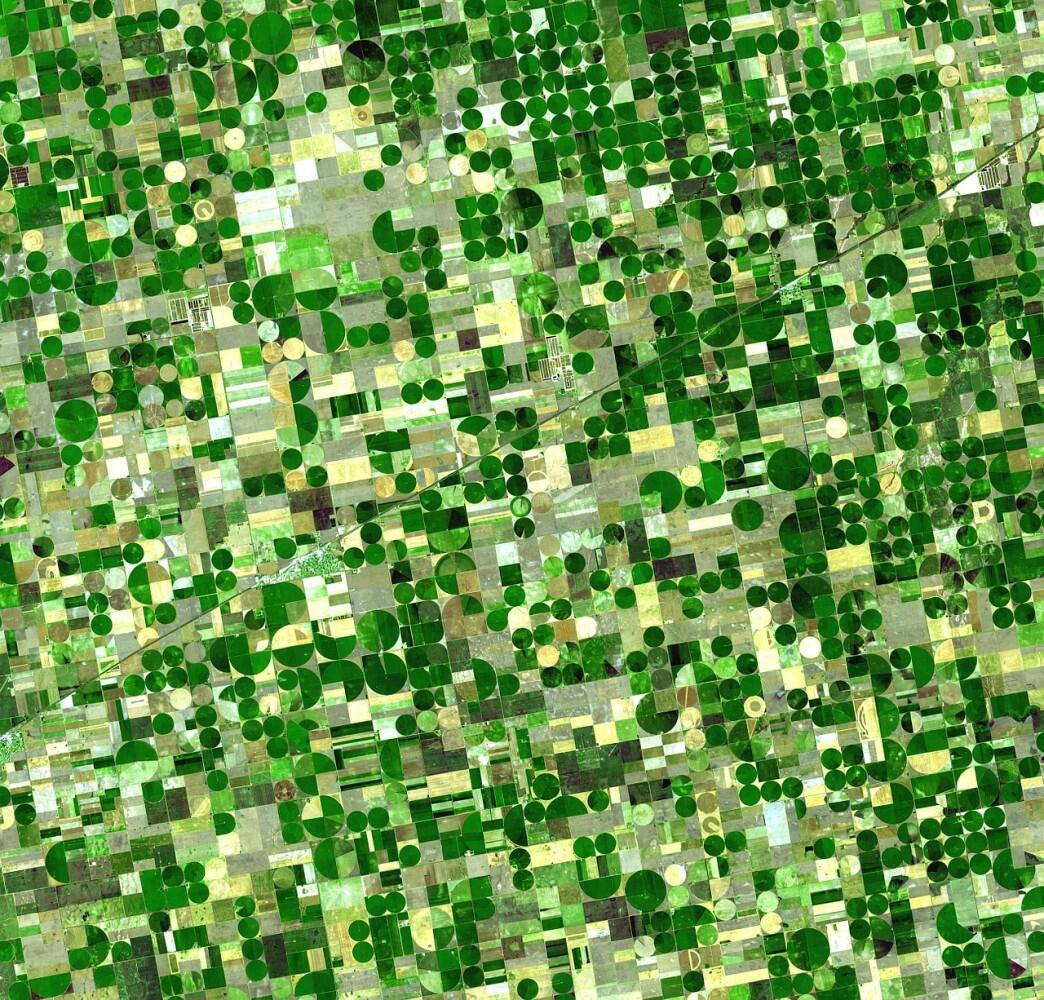 Gift of data strengthens sustainable agriculture research at Illinois