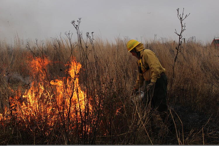 person wearing yellow protective gear applies a prescribed burn in a grassland