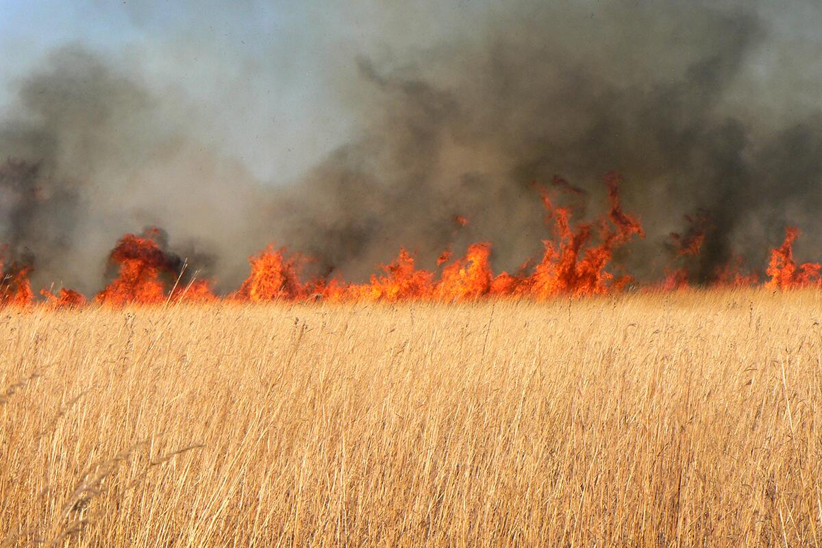 Study reconstructs 232-year history of prairie fire in Midwestern US