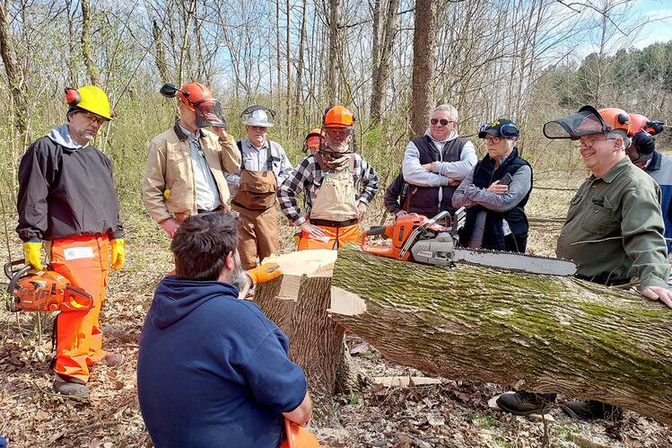 Men in hardhats stand near a felled tree in a forest