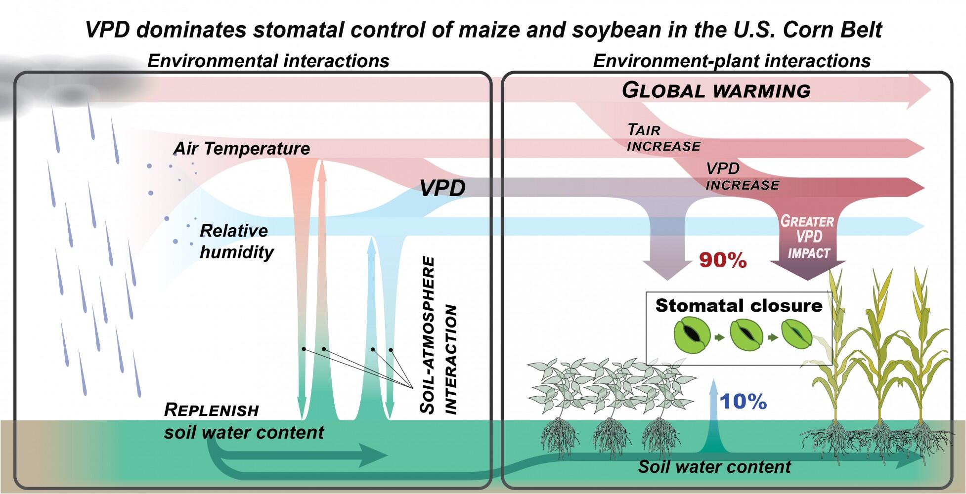 Redefining drought in the US Corn Belt