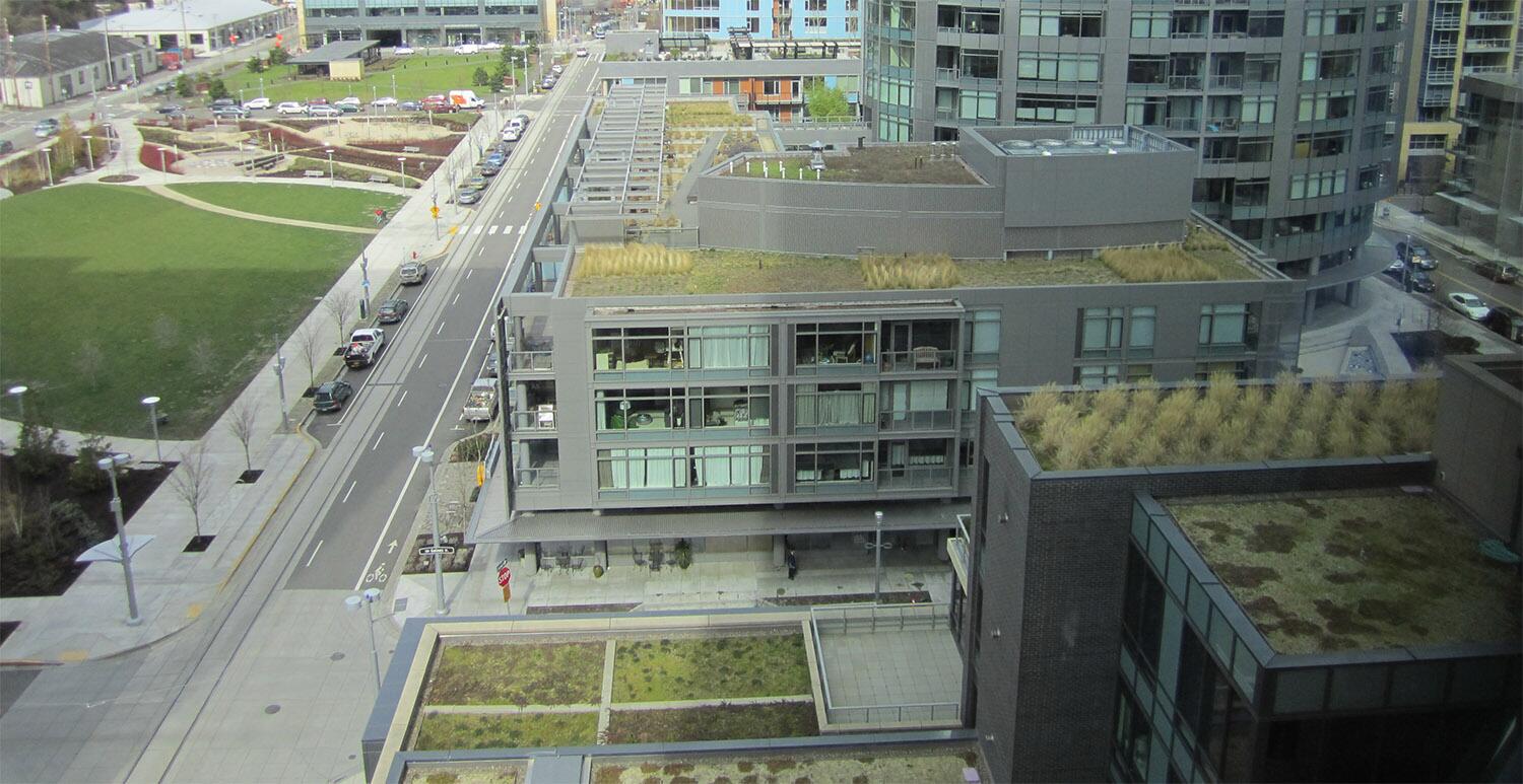 Green roofs are worth the cost for urban residents