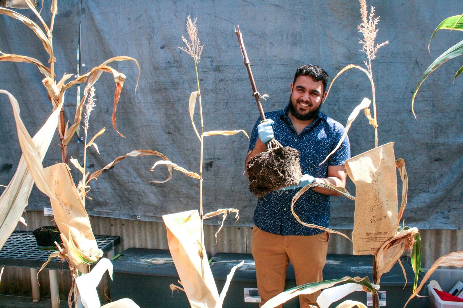 Going back in time restores decades of quiet corn drama