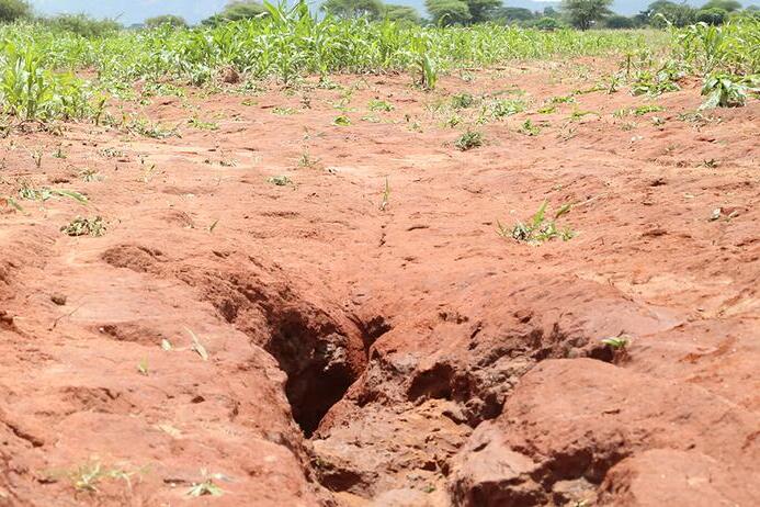 gully erosion