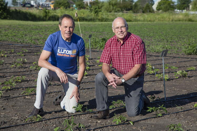 Two men kneeling in a field with rows of crops