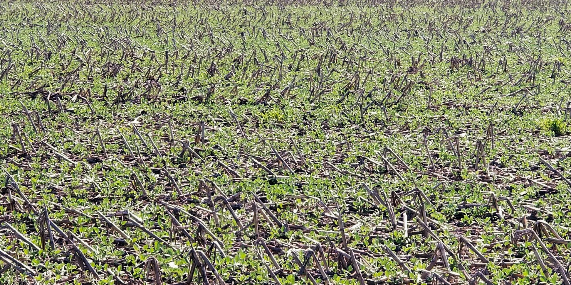 No-till practices in vulnerable areas significantly reduce soil erosion