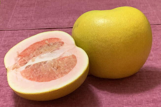 A pomelo fruit cut in half 