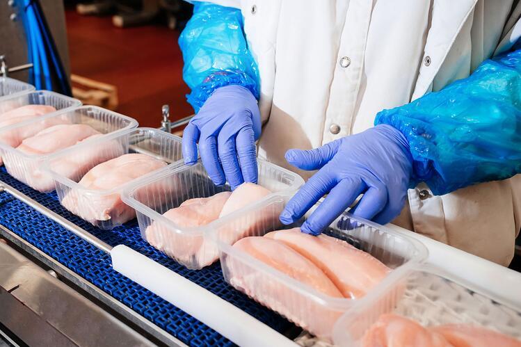 Chicken parts on production assembly line, worker’s gloved hands are visible.