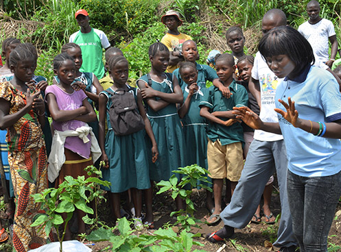 ACES continues legacy of building educational capacity in Sierra Leone