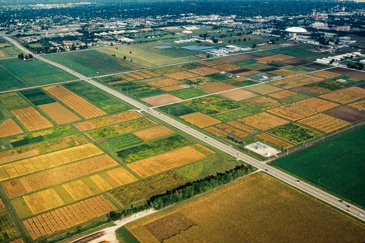 Powerful sensors on planes detect crop nitrogen with high accuracy