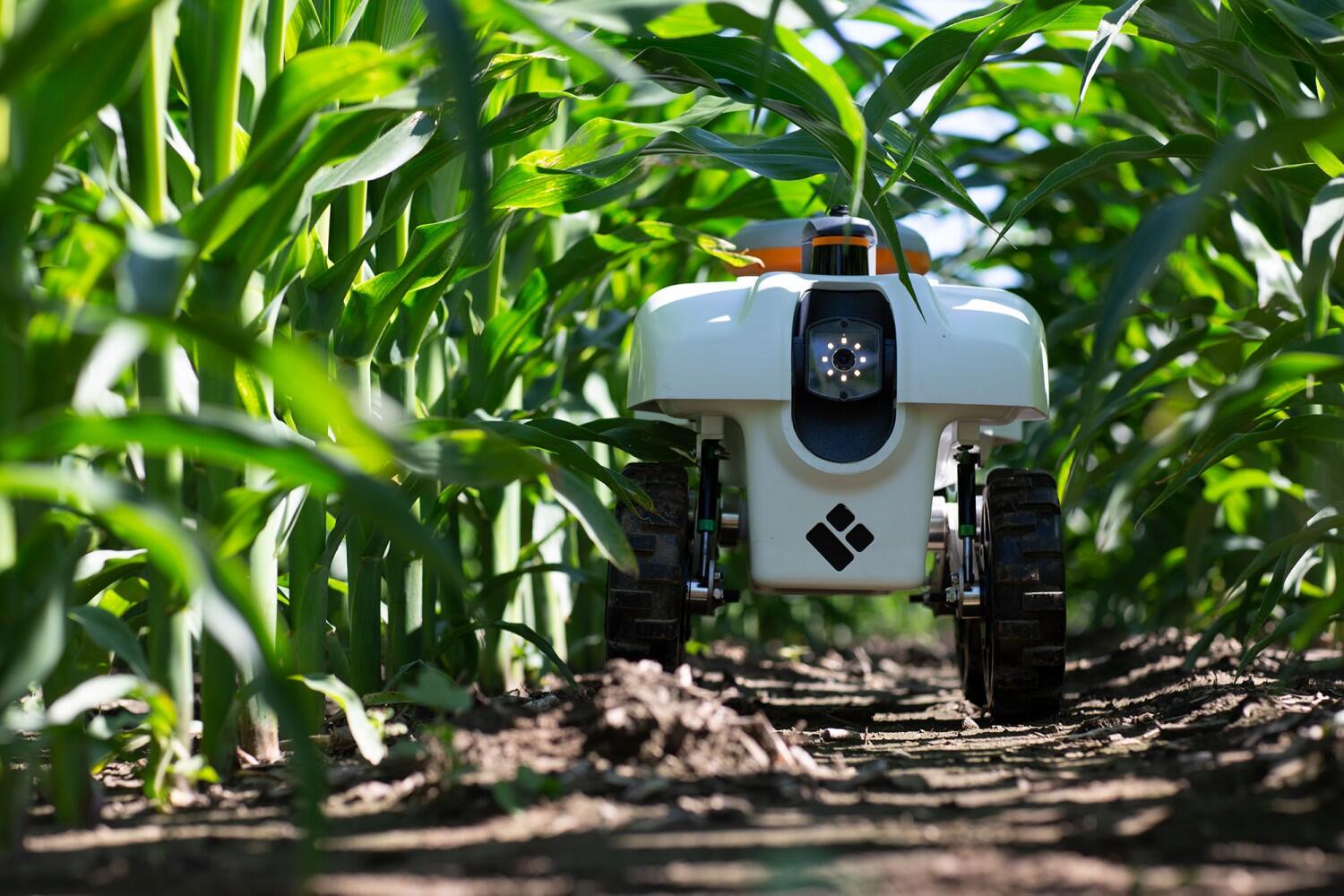 TerraSentia robots, Agricultural and Biological Engineering faculty featured in New York Times