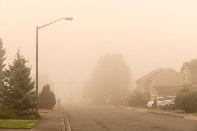 A residential street with a hazy orange sky from wildfire smoke