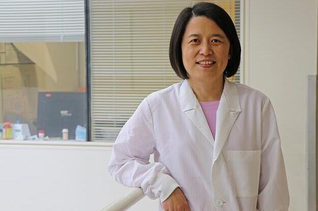 Dr. Wenyan Mei