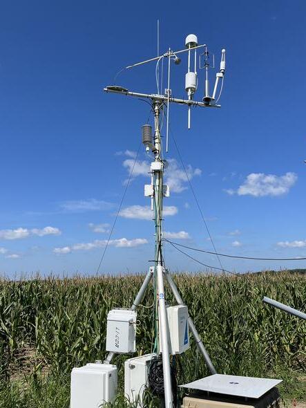 Measuring equipment in a corn field with a background of blue sky