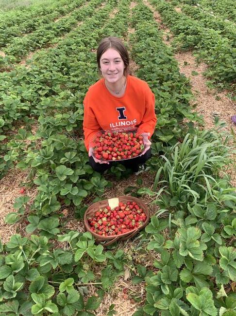 Sam Henry sitting in strawberry patch