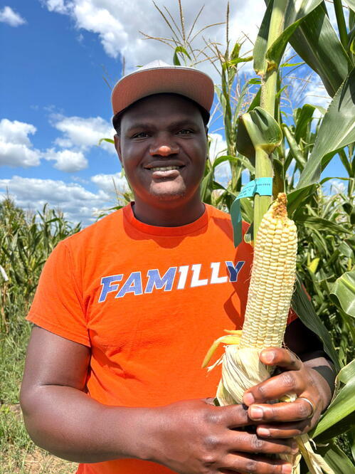 Chris Mujjabi with his white corn Man in orange t-shirt and baseball hat stands with a large cob of whitish corn. In the background are corn plants and a blue sky with white clouds.