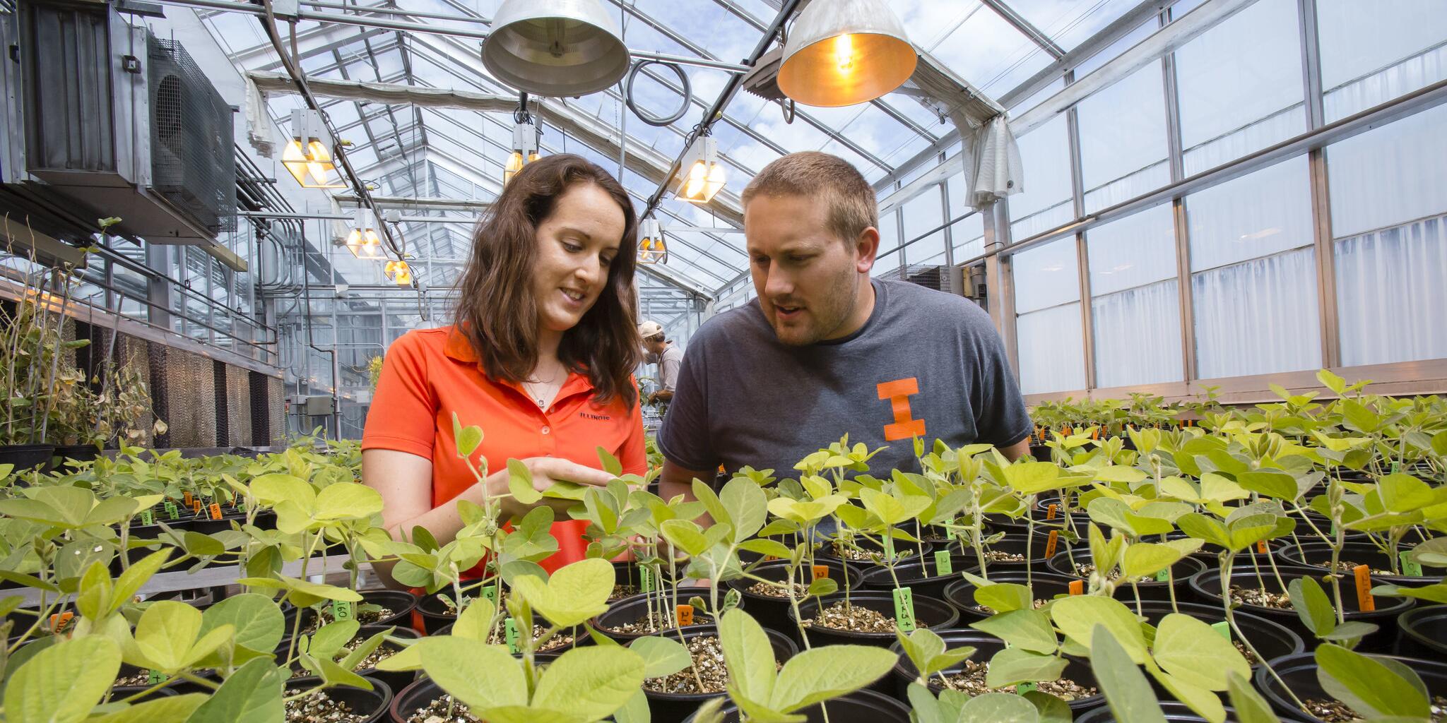 Horticulture PDC