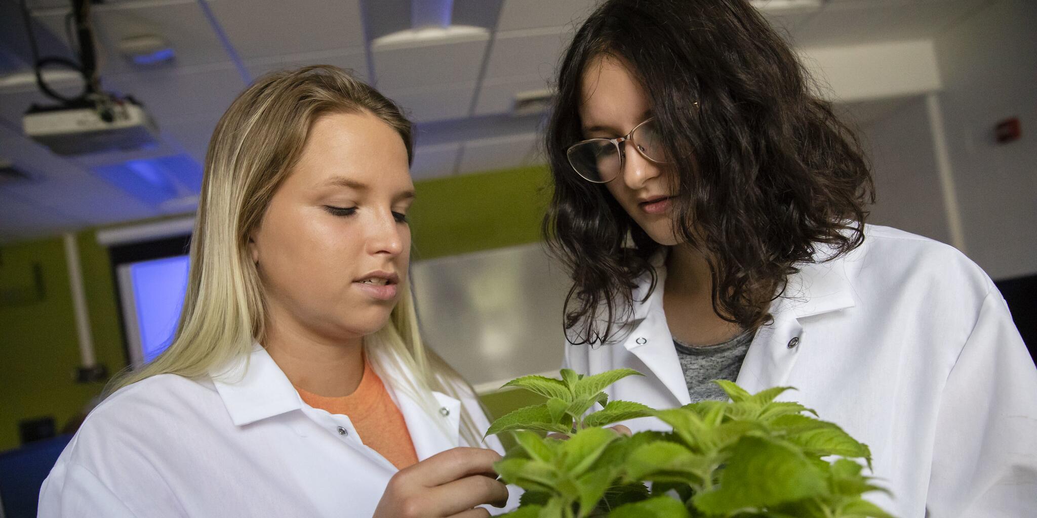 Crop Sciences