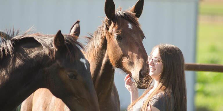 Student working with a horse