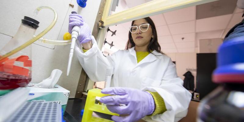 Nutritional Sciences