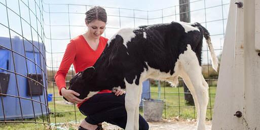 Student with a calf
