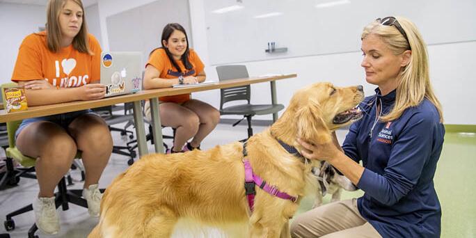 Professor interacting with a golden retriever
