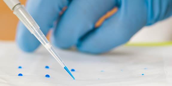 Bioinformatics in Crop Sciences