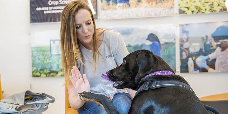 Student high-fiving a dog