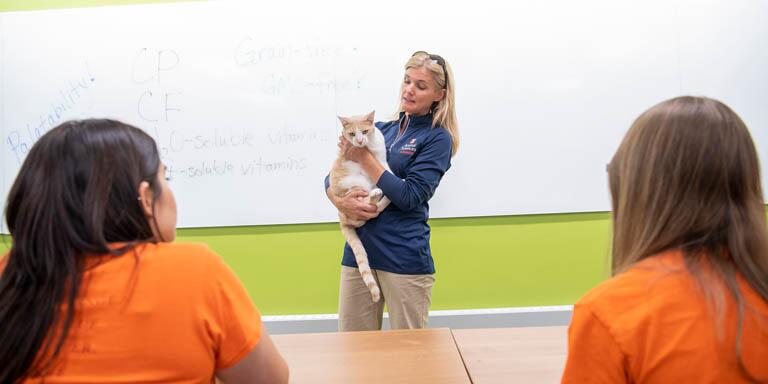 Professor holding a cat