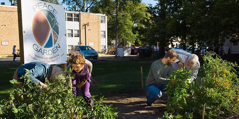 People planting in a community garden