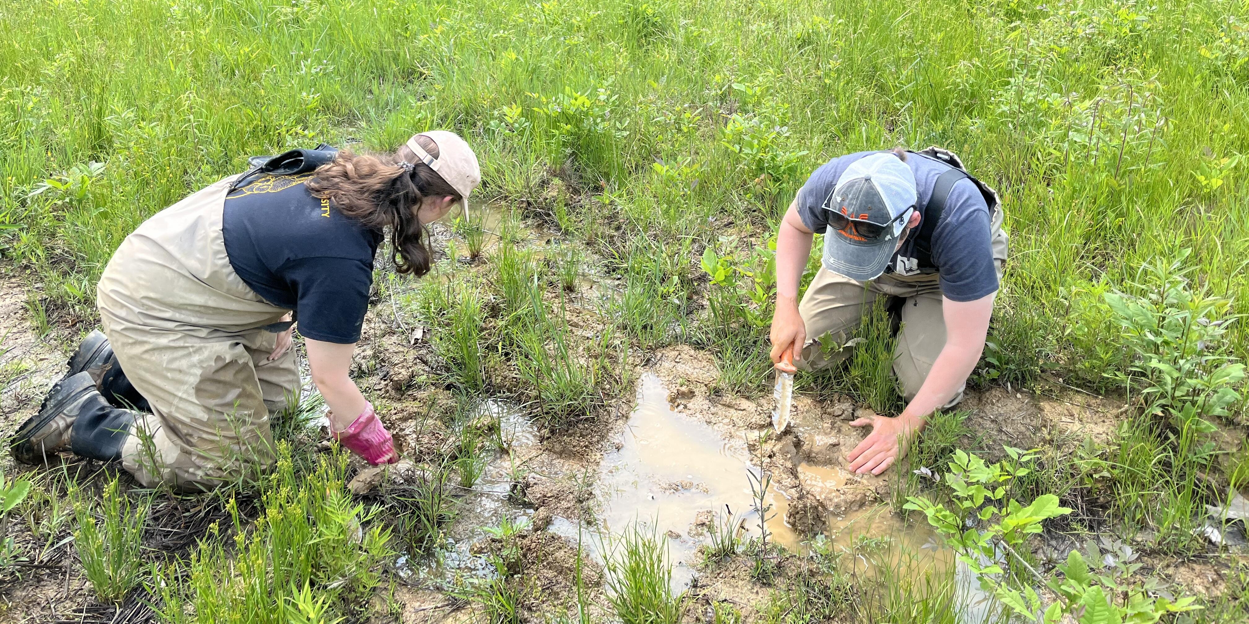 Wetland Science and Conservation Certificate